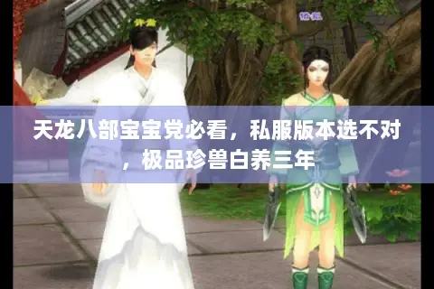 天龙八部宝宝党必看,私服版本选不对,极品珍兽白养三年 天龙八部宝宝党必看,私服版本选不对,极品珍兽白养三年