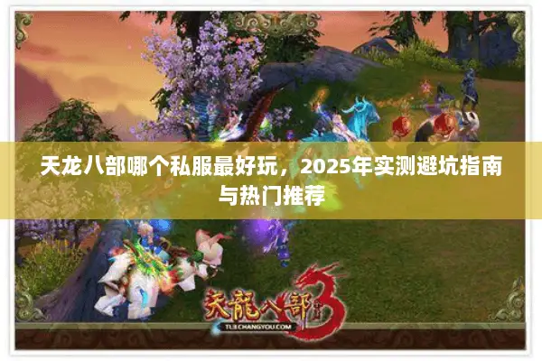 天龙八部哪个私服最好玩，2025年实测避坑指南与热门推荐