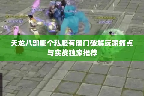 天龙八部哪个私服有唐门破解玩家痛点与实战独家推荐 天龙八部哪个私服有唐门破解玩家痛点与实战独家推荐