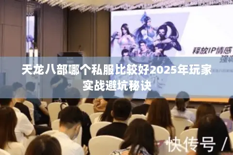 天龙八部哪个私服比较好2025年玩家实战避坑秘诀