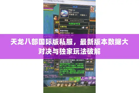 天龙八部国际版私服，最新版本数据大对决与独家玩法破解