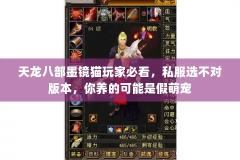 天龙八部墨镜猫玩家必看,私服选不对版本,你养的可能是假萌宠 天龙八部墨镜猫玩家必看,私服选不对版本,你养的可能是假萌宠