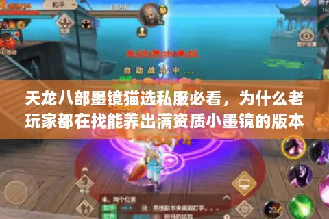 天龙八部墨镜猫选私服必看,为什么老玩家都在找能养出满资质小墨镜的版本 天龙八部墨镜猫选私服必看,为什么老玩家都在找能养出满资质小墨镜的版本