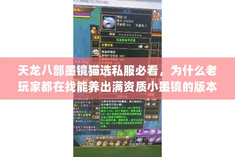 天龙八部墨镜猫选私服必看,为什么老玩家都在找能养出满资质小墨镜的版本 天龙八部墨镜猫选私服必看,为什么老玩家都在找能养出满资质小墨镜的版本