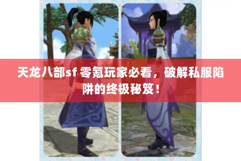 天龙八部sf 零氪玩家必看，破解私服陷阱的终极秘笈！