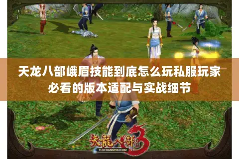 天龙八部峨眉技能到底怎么玩私服玩家必看的版本适配与实战细节 天龙八部峨眉技能到底怎么玩私服玩家必看的版本适配与实战细节