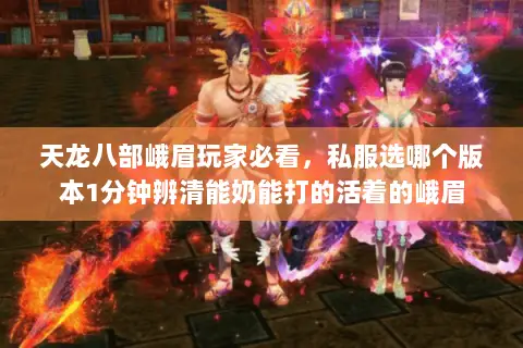 天龙八部峨眉玩家必看,私服选哪个版本1分钟辨清能奶能打的活着的峨眉 天龙八部峨眉玩家必看,私服选哪个版本1分钟辨清能奶能打的活着的峨眉