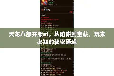 天龙八部开服sf,从陷阱到宝藏,玩家必知的秘密通道 天龙八部开服sf,从陷阱到宝藏,玩家必知的秘密通道