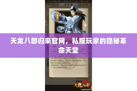 天龙八部归来官网,私服玩家的隐秘革命天堂 天龙八部归来官网,私服玩家的隐秘革命天堂