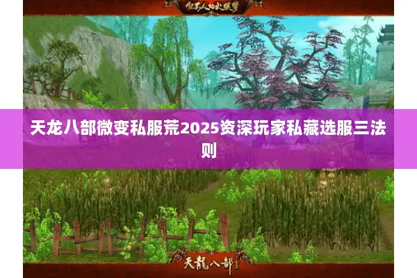 天龙八部微变私服荒2025资深玩家私藏选服三法则 天龙八部微变私服荒2025资深玩家私藏选服三法则