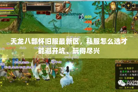天龙八部怀旧服最新区，私服怎么选才能避开坑、玩得尽兴