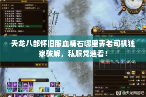 天龙八部怀旧服血精石哪里弄老司机独家破解，私服党速看！