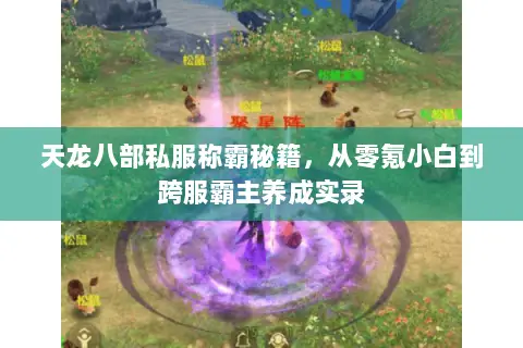 天龙八部私服称霸秘籍,从零氪小白到跨服霸主养成实录 天龙八部私服称霸秘籍,从零氪小白到跨服霸主养成实录