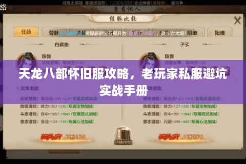 天龙八部怀旧服攻略,老玩家私服避坑实战手册 天龙八部怀旧服攻略,老玩家私服避坑实战手册